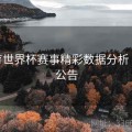 B体育世界杯赛事精彩数据分析 - 官方公告