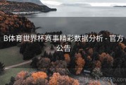 B体育世界杯赛事精彩数据分析 - 官方公告