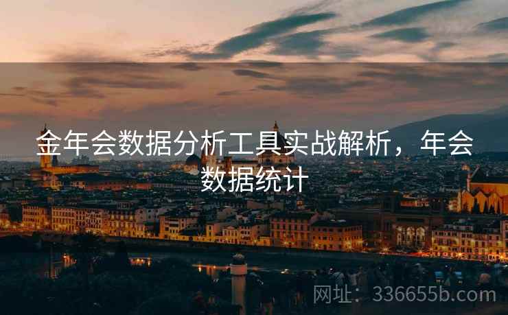 金年会数据分析工具实战解析，年会数据统计