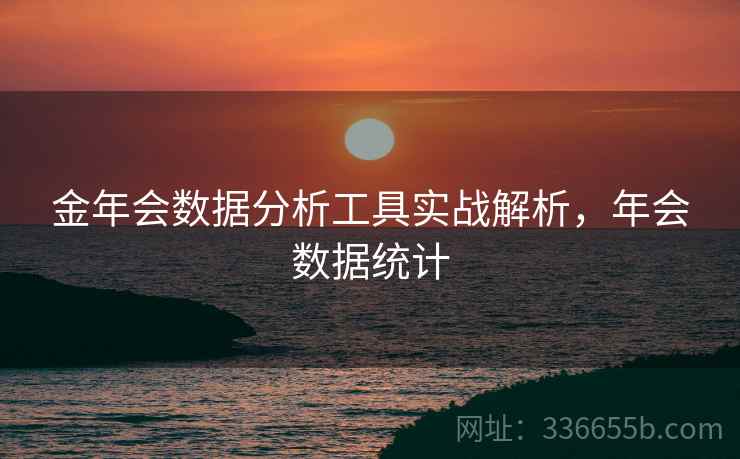 金年会数据分析工具实战解析，年会数据统计