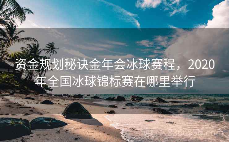 资金规划秘诀金年会冰球赛程，2020年全国冰球锦标赛在哪里举行