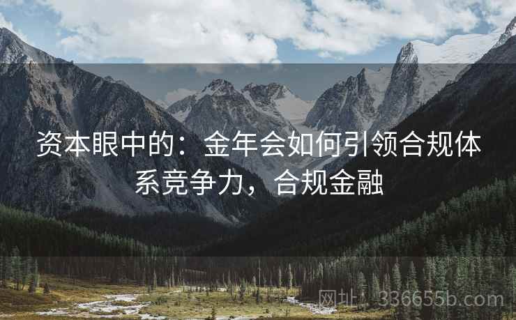 资本眼中的：金年会如何引领合规体系竞争力，合规金融