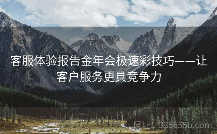 客服体验报告金年会极速彩技巧——让客户服务更具竞争力