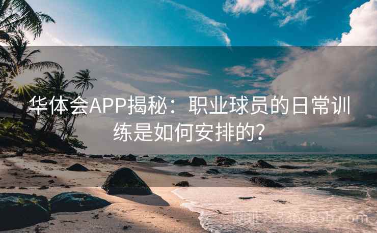 华体会APP揭秘：职业球员的日常训练是如何安排的？