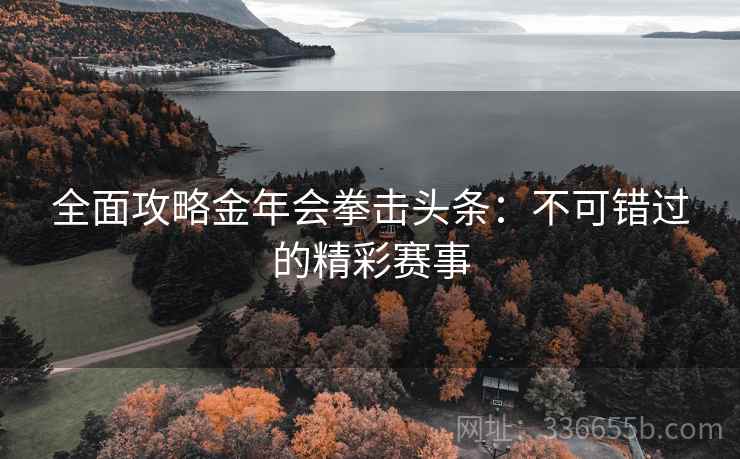 全面攻略金年会拳击头条：不可错过的精彩赛事