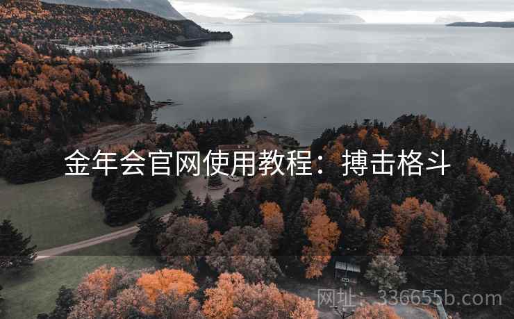 金年会官网使用教程：搏击格斗