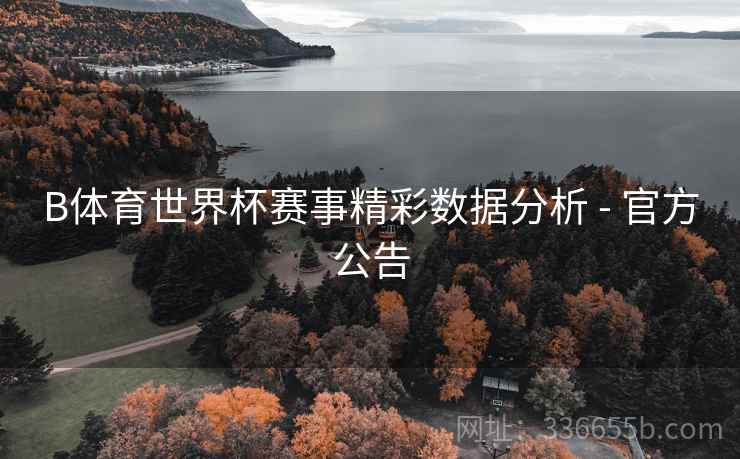 B体育世界杯赛事精彩数据分析 - 官方公告