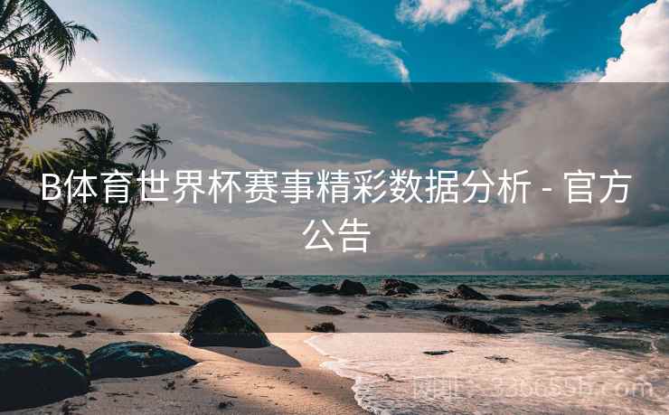 B体育世界杯赛事精彩数据分析 - 官方公告