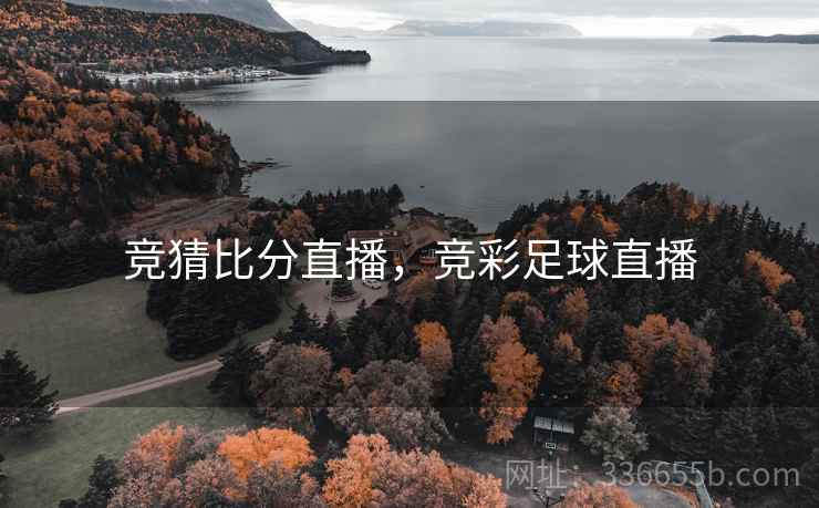 竞猜比分直播，竞彩足球直播