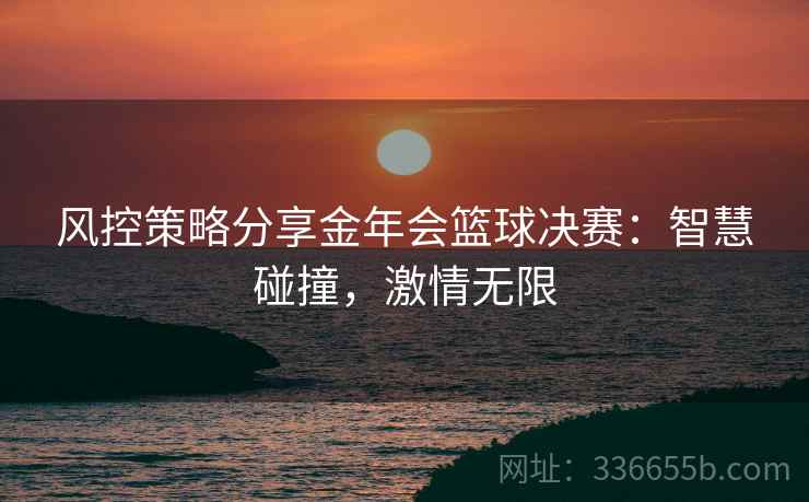 风控策略分享金年会篮球决赛：智慧碰撞，激情无限