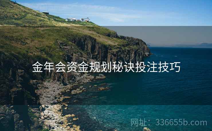 金年会资金规划秘诀投注技巧